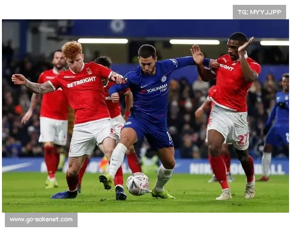 布伦特福德与富勒姆争冠白热化，英超谁将是最后的王者？